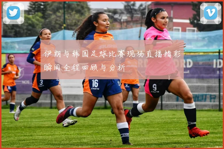 伊朗与韩国足球比赛现场直播精彩瞬间全程回顾与分析